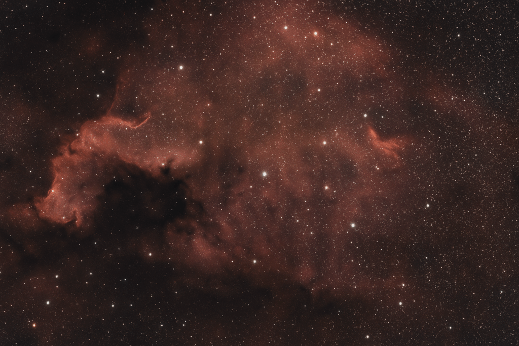 C897AA7F-ECA7-49F3-9386-04510D64C94A